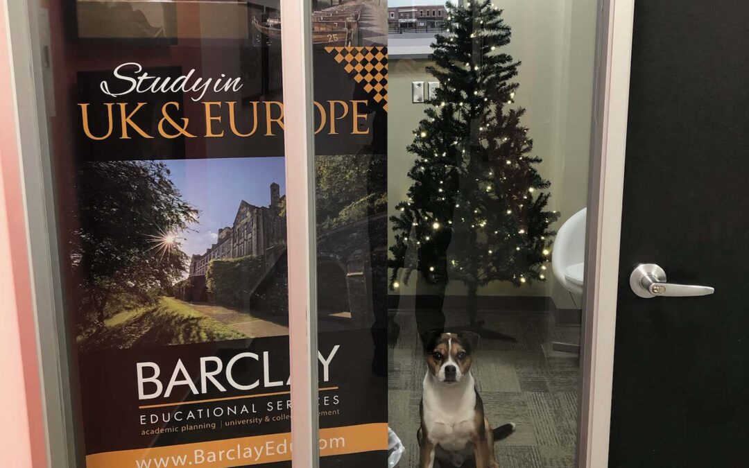 Give the Gift of Bark-lay Educational Services this Holiday!