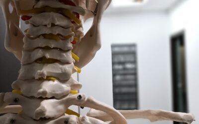 Study Chiropractic DIRECTLY from High School! Apply NOW