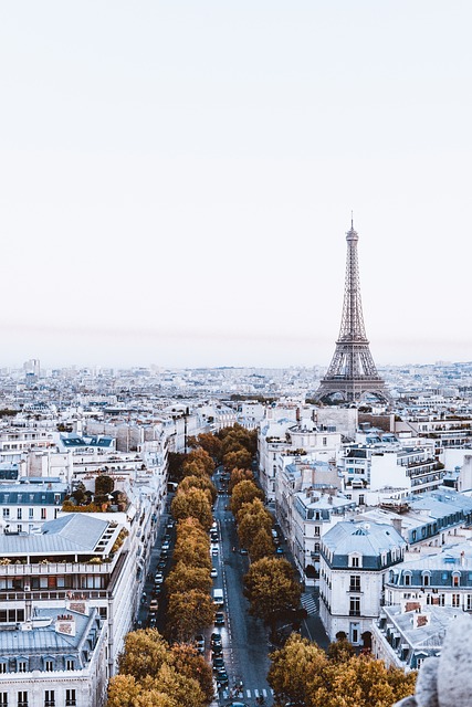 Pick Paris For YOUR Postgraduate Study Adventure!