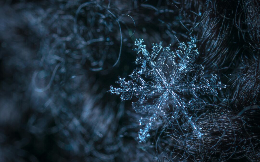 Snow Day? Time to Plan Your Postgrad Studies in the UK!