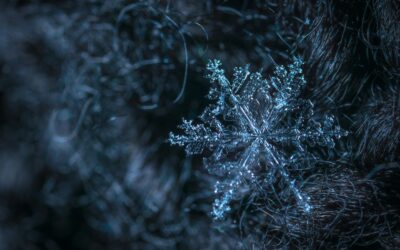 Snow Day? Time to Plan Your Postgrad Studies in the UK!