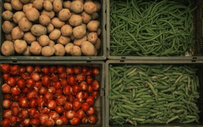 Master the Field of Agrifood at Cranfield University