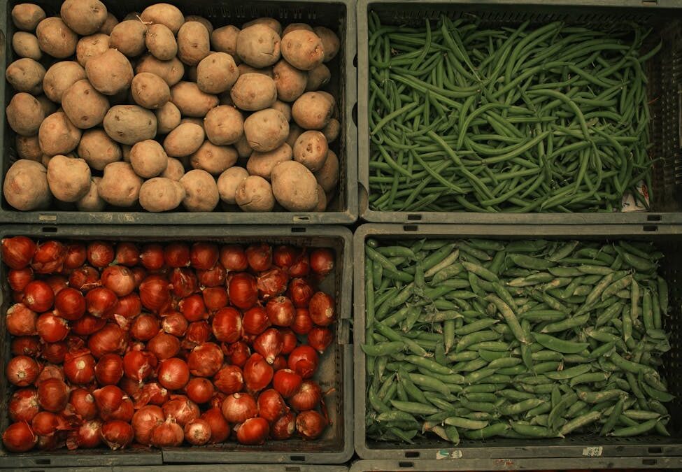 Master the Field of Agrifood at Cranfield University