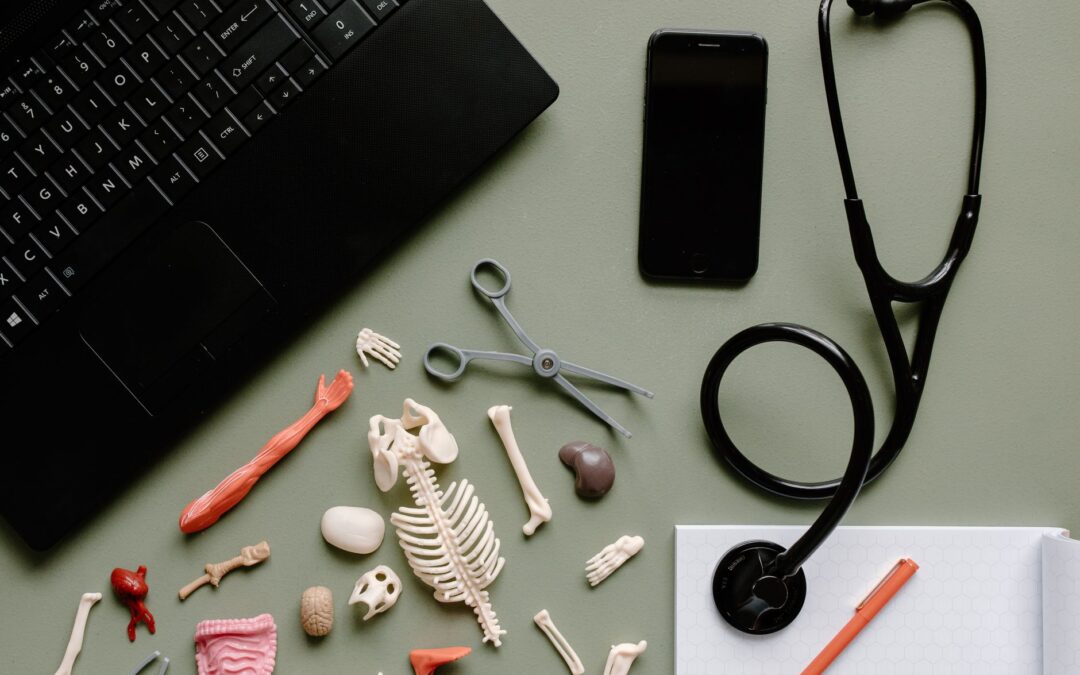 Study Medicine in the UK! Explore the University of Hull
